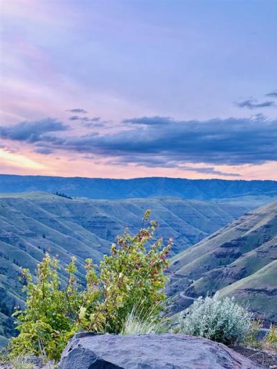 North Toward Rattlesnake Grade 05/25, Photo by: Lydia R. Madsen ©