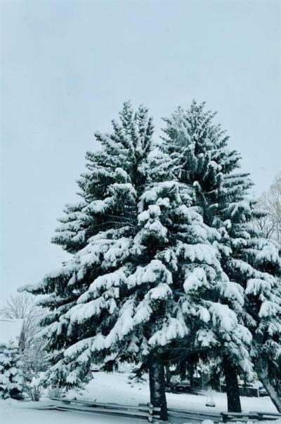 Winter’s Endurance 04/24, Photo by: Lydia R. Madsen ©