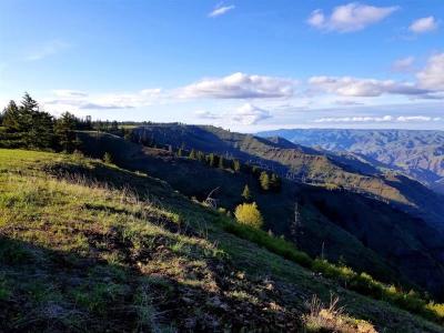 Cold Springs Ridge 05/19, Photo by: Becky Frolander ©
