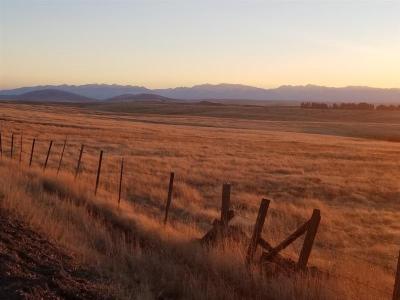 Zumwalt Prairie 11/18, Photo by: Becky Frolander ©