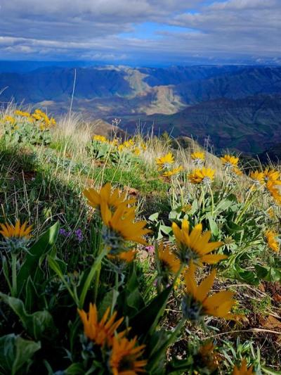 Buckhorn Overlook 05/25, Photo by: Becky Frolander ©