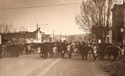 Wallowa County Museum 21
