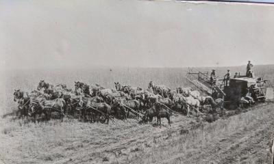 Wallowa County Museum 39