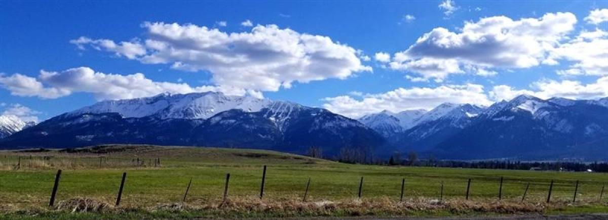 Chief Joseph Mountain 04/2019, Photo by: Becky Frolander ©