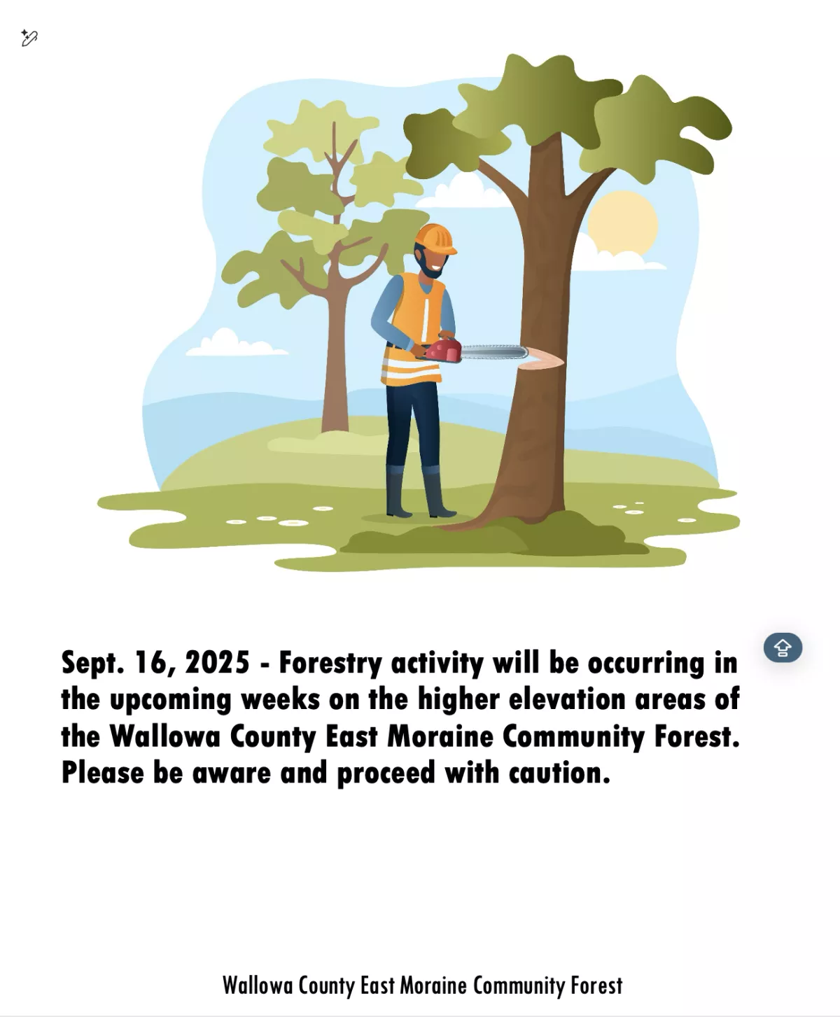 Logging East Moraine Community Forest
