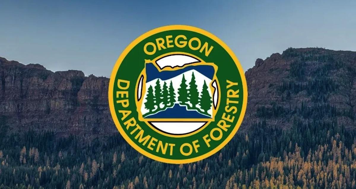 ODF Logo