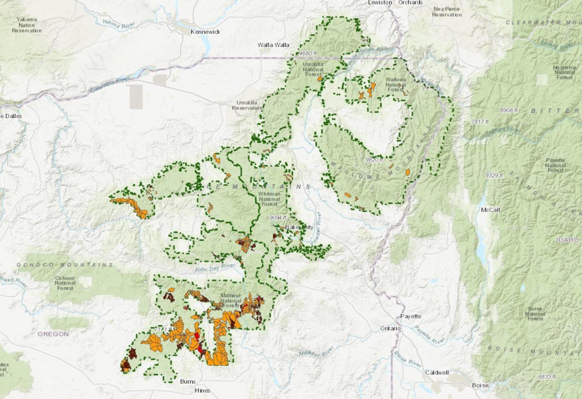Wallowa-Whitman Set for Spring Prescribed Burning